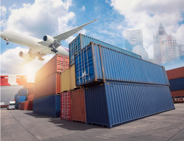 Customs advisory professionals reviewing import and compliance documentation